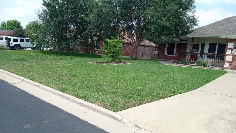 Affordable lawn care service for year-round maintenance in Killeen, TX by Sorrells&son Lawncare