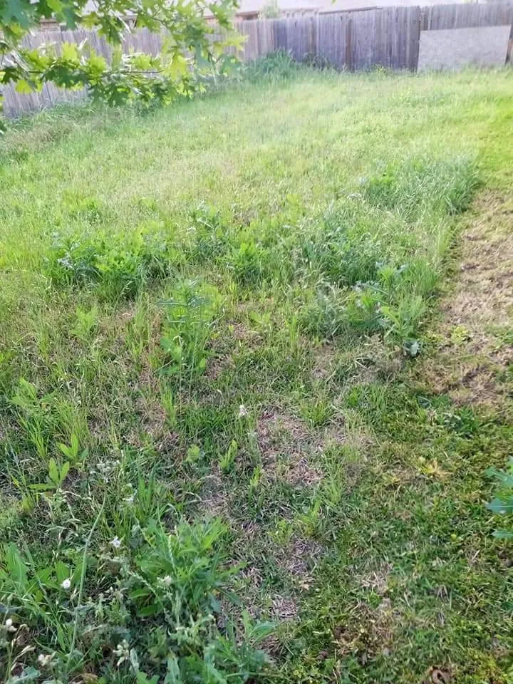 Trusted yard maintenance experts serving Killeen, TX - Sorrells&son Lawncare