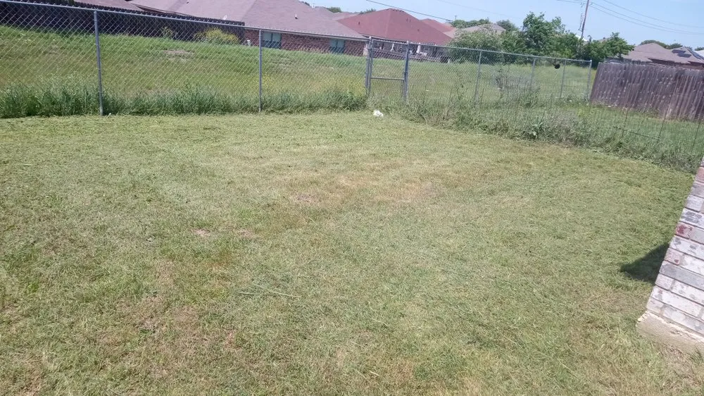 Affordable yard cleanup service experts serving Killeen, TX - Sorrells&son Lawncare