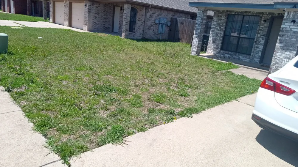 Custom lawn mowing service experts serving Killeen, TX - Sorrells&son Lawncare