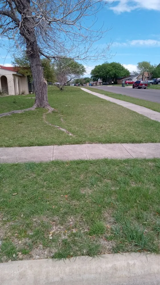 Expert residential landscaping experts serving Killeen, TX - Sorrells&son Lawncare