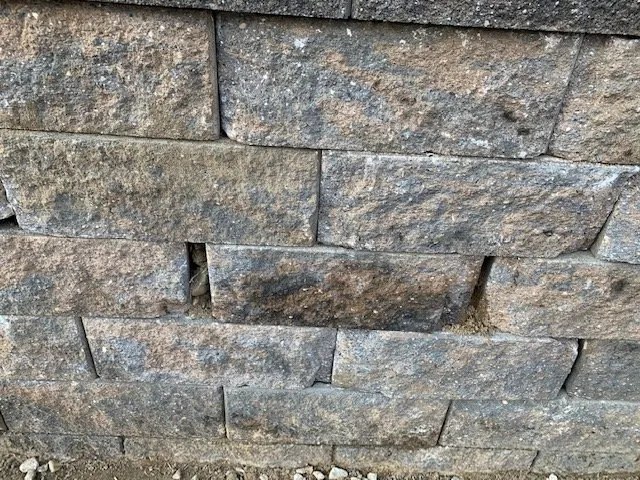 Reliable yard cleanup service for beautiful yards in Pemberton Heights, NJ by Sorrentino Lawns & Landscape