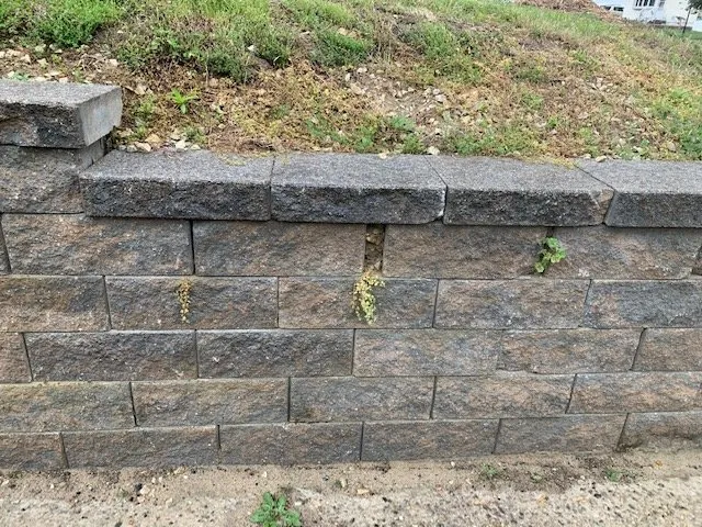 Local lawn care service with custom design in Pemberton Heights, NJ by Sorrentino Lawns & Landscape