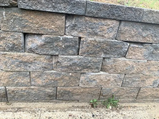 Expert lawn care service near you across Pemberton Heights, NJ - Sorrentino Lawns & Landscape