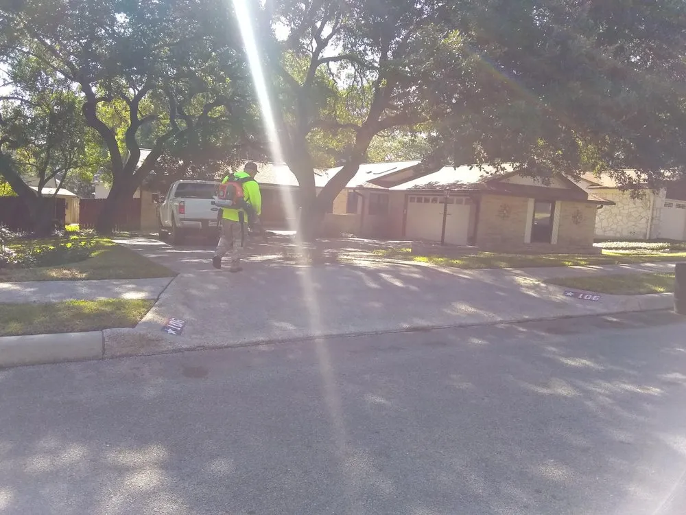 Professional yard cleanup service in San Antonio, TX by SOS Home & Landscaping