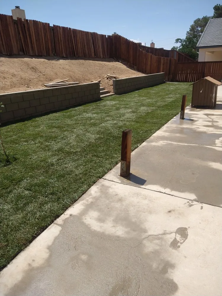 Affordable yard maintenance for beautiful yards in Victorville, CA by SOS Landscape & Gardening
