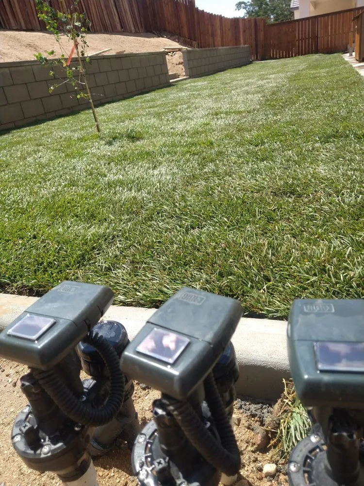 Expert yard cleanup service in Victorville, CA by SOS Landscape & Gardening