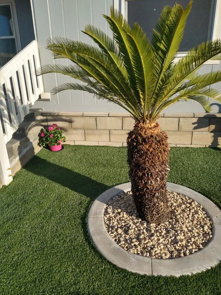 Expert lawn care service experts serving Victorville, CA - SOS Landscape & Gardening