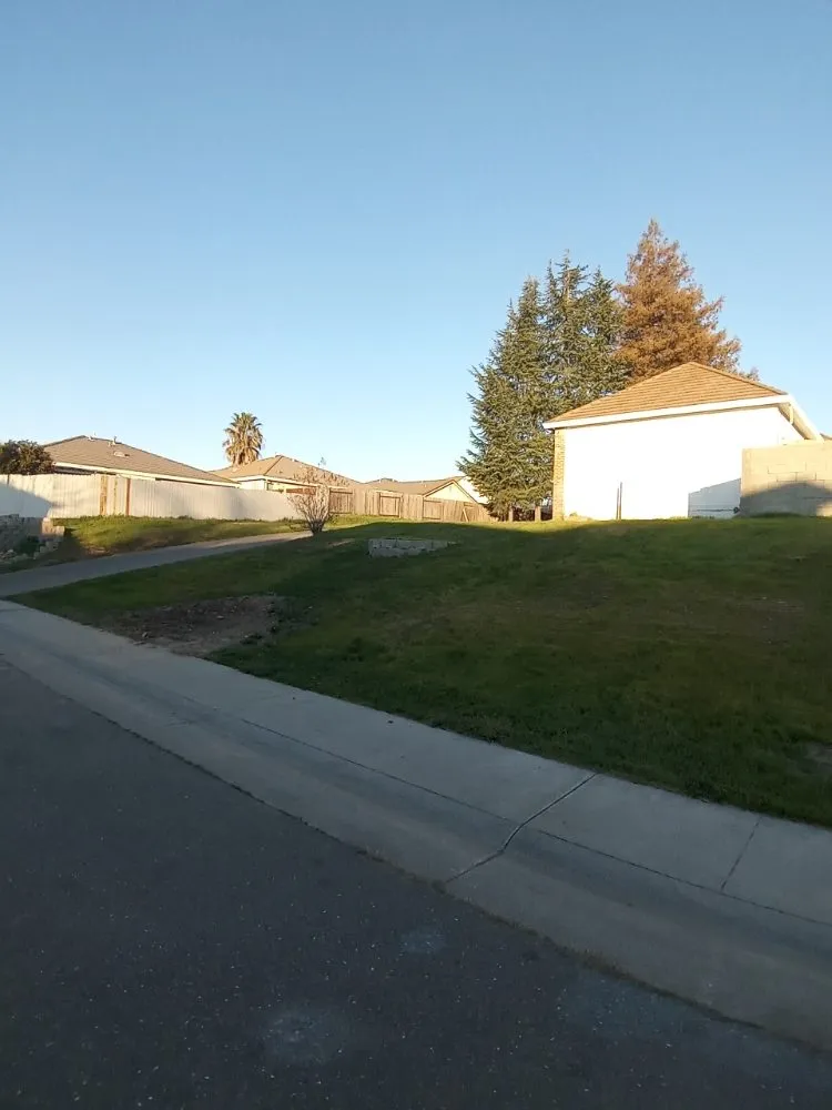 Affordable yard cleanup service in Sacramento, CA by S.O.S. Landscaping & Designs