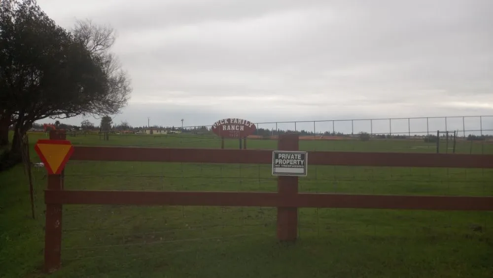 Affordable yard cleanup service experts serving Sacramento, CA - S.O.S. Landscaping & Designs