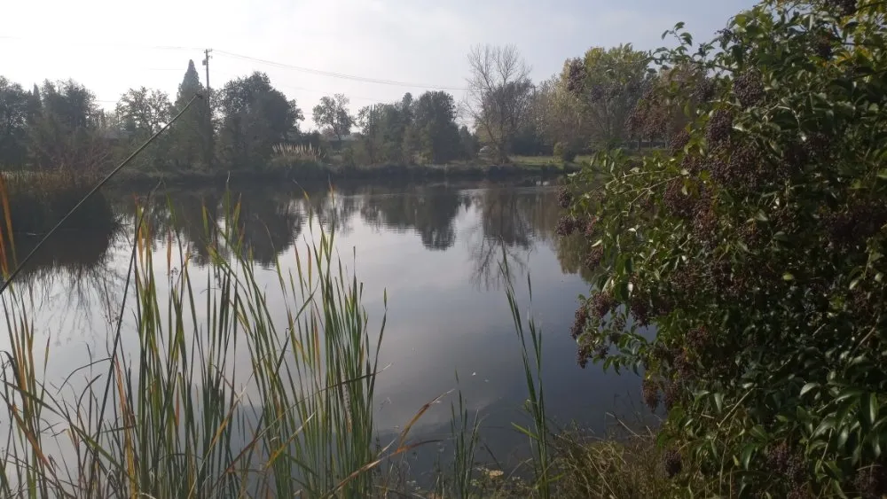 Trusted outdoor landscaping near you across Sacramento, CA - S.O.S. Landscaping & Designs