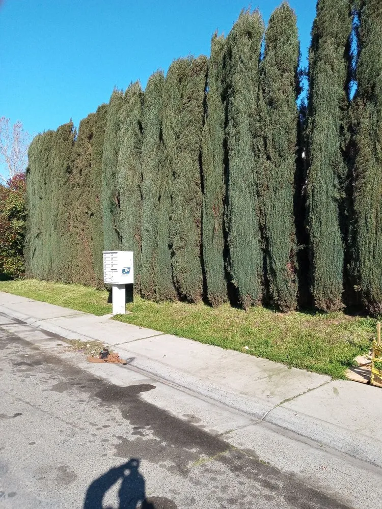 Trusted outdoor landscaping in Sacramento, CA by S.O.S. Landscaping & Designs