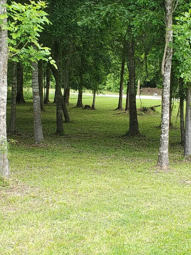 Custom landscape installation with custom design across Crosby, TX - SOS Lawn Care & More