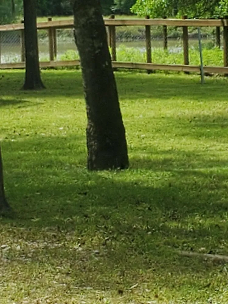 Affordable landscape design experts serving Crosby, TX - SOS Lawn Care & More