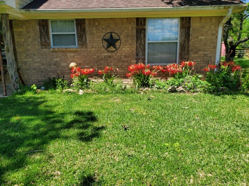 Affordable yard maintenance experts serving Crosby, TX - SOS Lawn Care & More