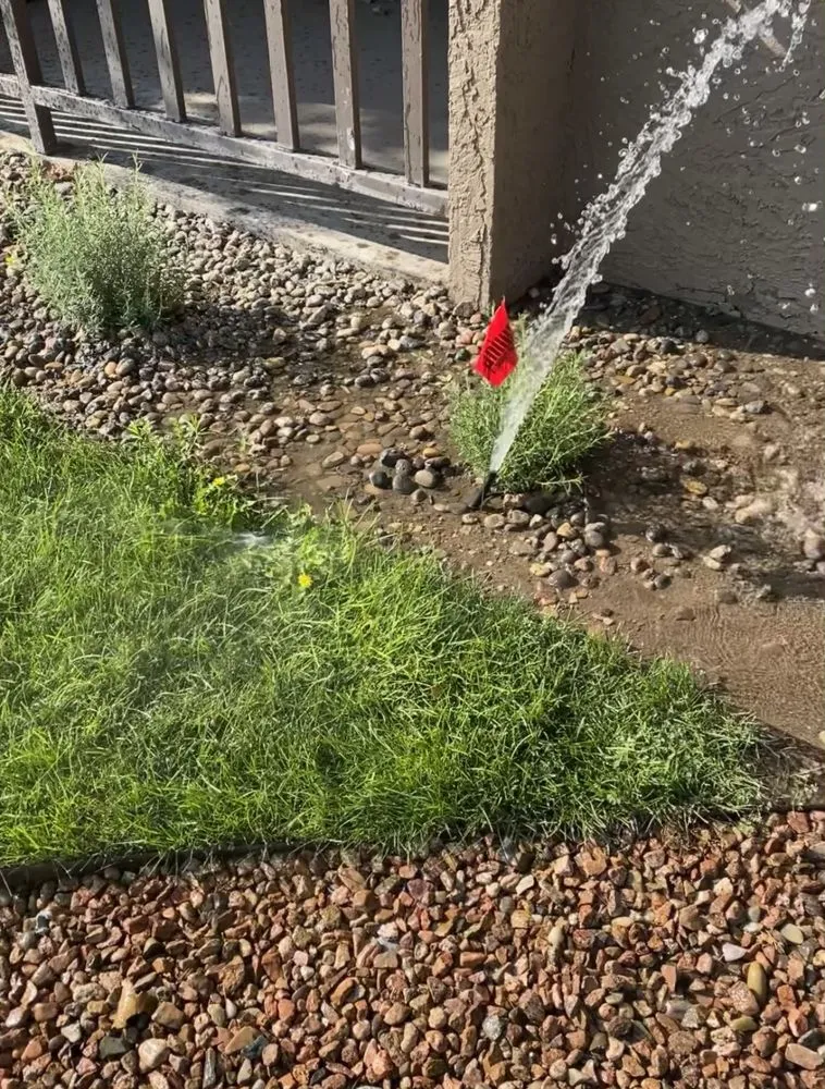 Professional landscape installation in Albuquerque, NM - SOS Lawn Care Plus
