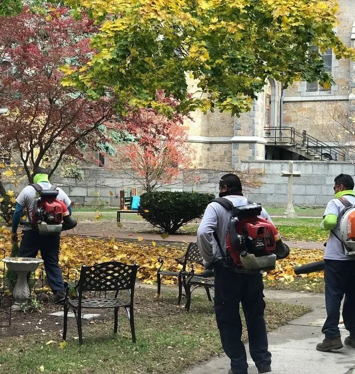 Professional landscape installation in Albuquerque, NM by SOS Lawn Care Plus