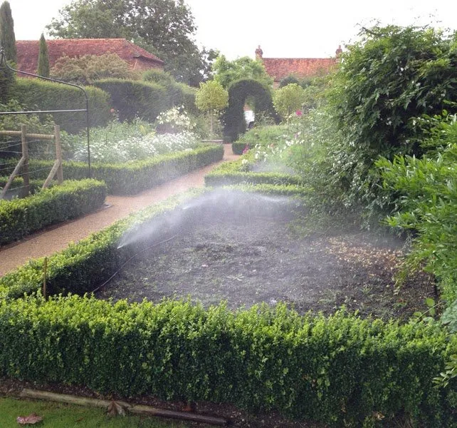 Local yard maintenance in Albuquerque, NM by SOS Lawn Care Plus