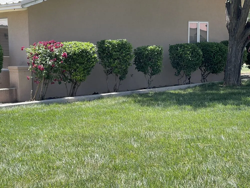 Reliable landscape installation in Albuquerque, NM by SOS Lawn Care Plus