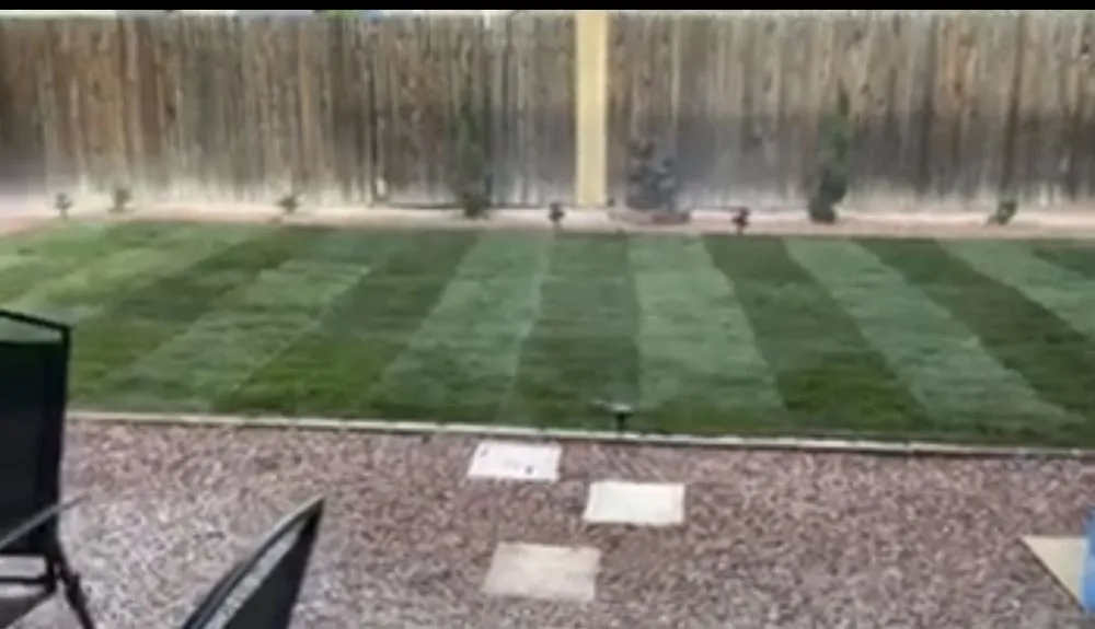 Affordable yard maintenance experts serving Albuquerque, NM - SOS Lawn Care Plus