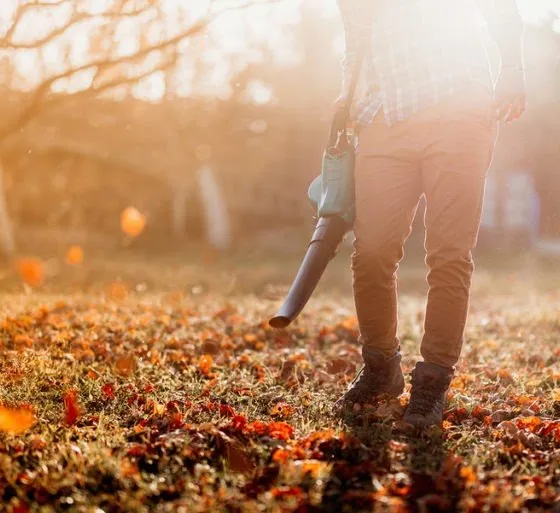 Expert outdoor landscaping in Albuquerque, NM - SOS Lawn Care Plus