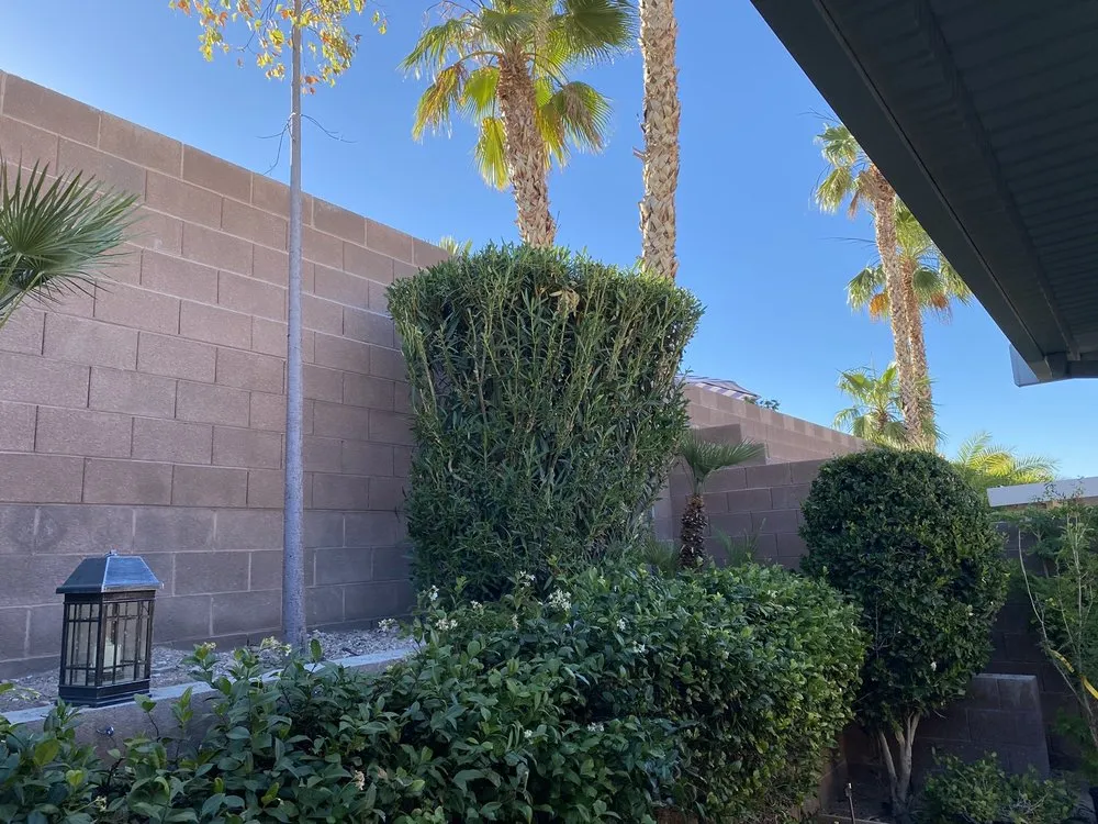 Local landscape design experts serving Henderson, NV - SOS Lawn Service & Maintenance