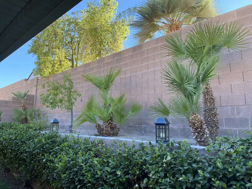 Expert yard maintenance in Henderson, NV by SOS Lawn Service & Maintenance