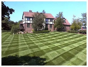 Reliable lawn care service in Saint Louis, MO - SOS Outdoor Solutions