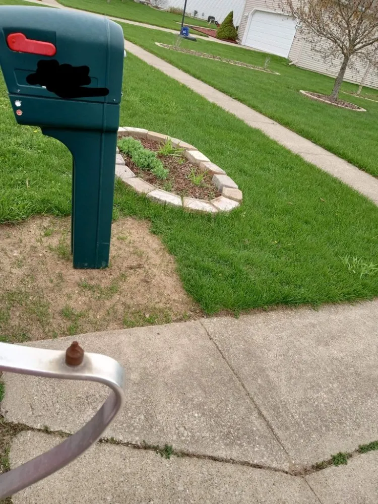 Trusted landscape installation near you across Saginaw, MI - Sos Services