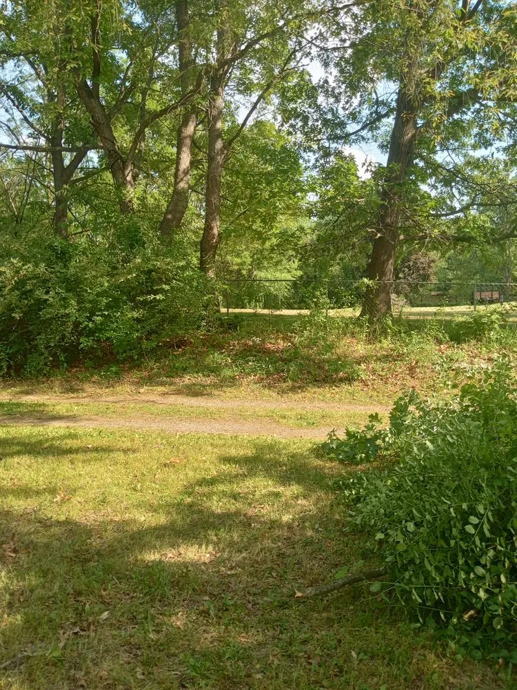 Affordable garden landscaping for outdoor upgrades across Saginaw, MI - Sos Services