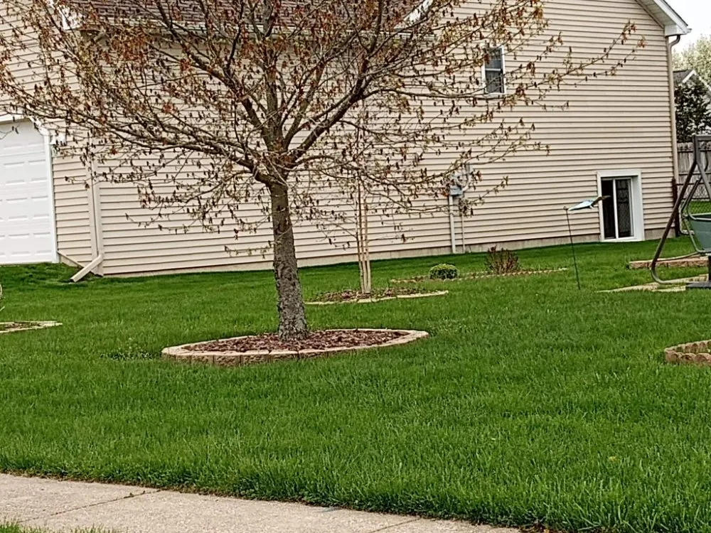 Reliable lawn care service in Saginaw, MI - Sos Services