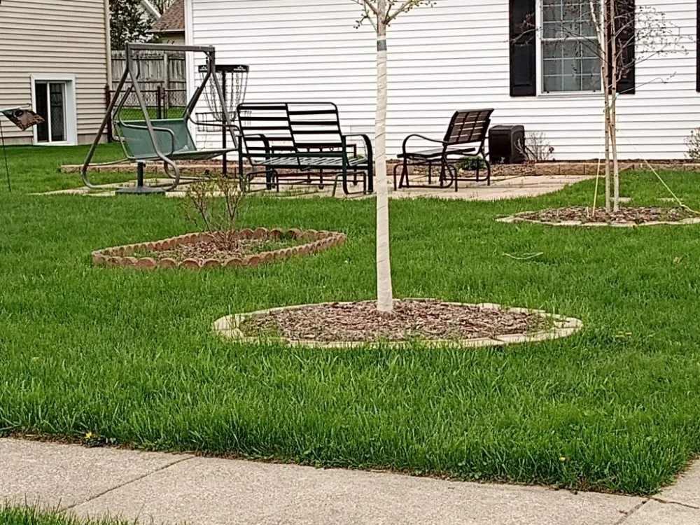 Reliable yard cleanup service for homes across Saginaw, MI - Sos Services
