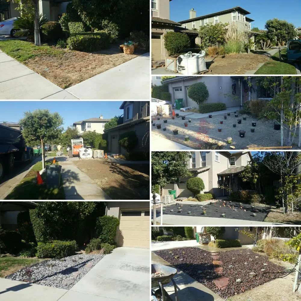 Custom garden landscaping experts serving Santa Ana, CA - Sosa & Sons Landscaping