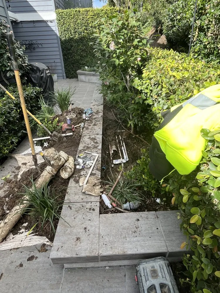 Local lawn care service in Santa Ana, CA by Sosa & Sons Landscaping