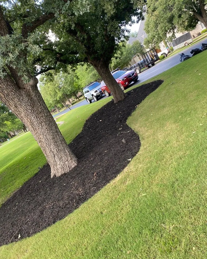 Affordable landscaping services experts serving Southlake, TX - Sosa Innovations