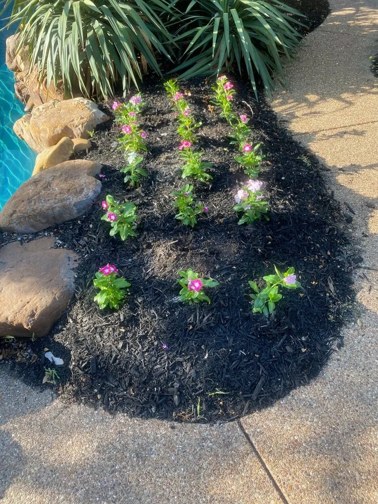 Affordable yard cleanup service for outdoor upgrades across Southlake, TX - Sosa Innovations