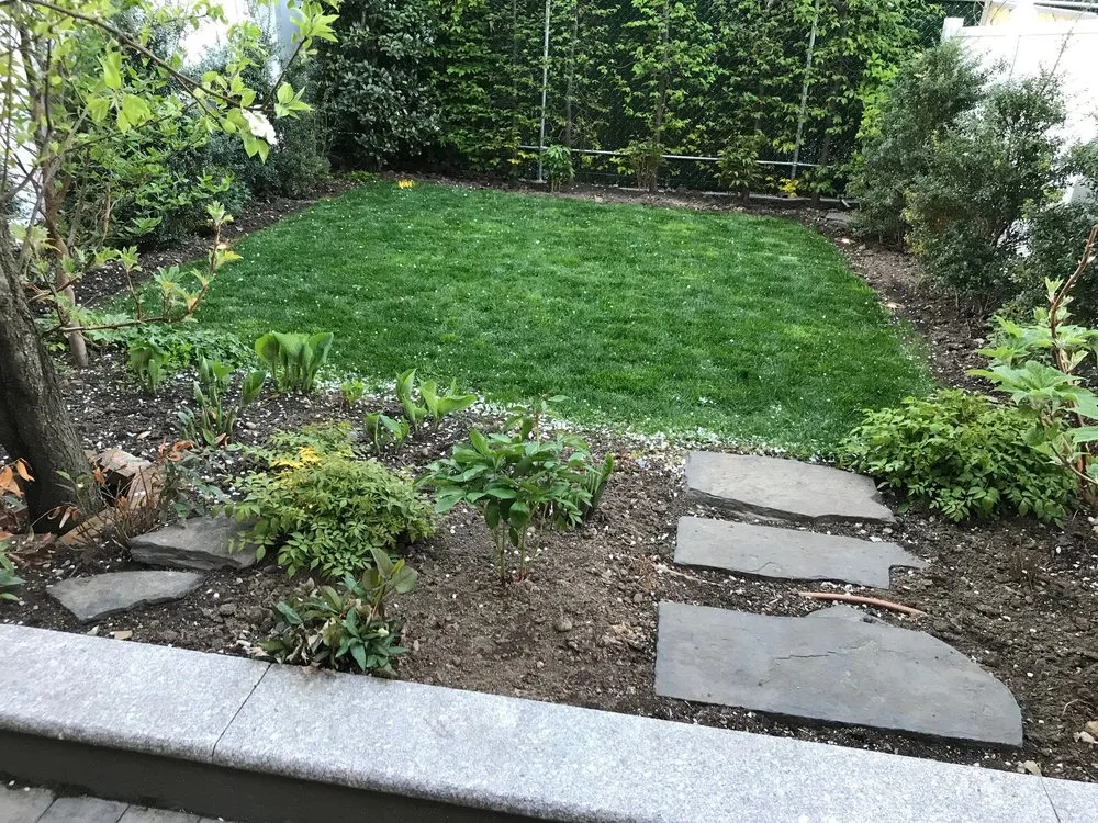 Reliable lawn care service for year-round maintenance in Brooklyn, NY by Sosa Irriscape