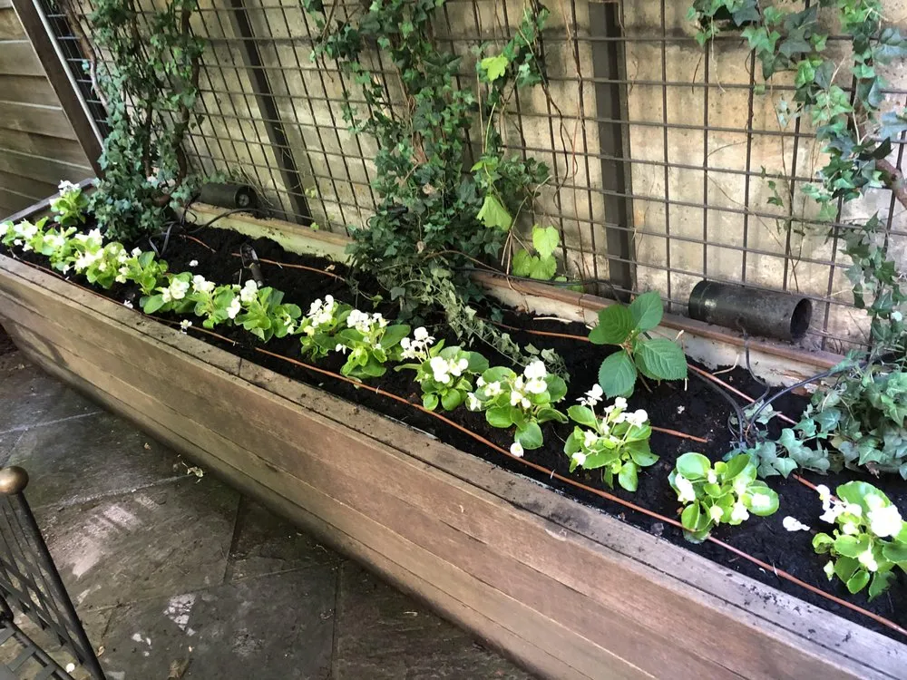 Trusted lawn mowing service in Brooklyn, NY - Sosa Irriscape