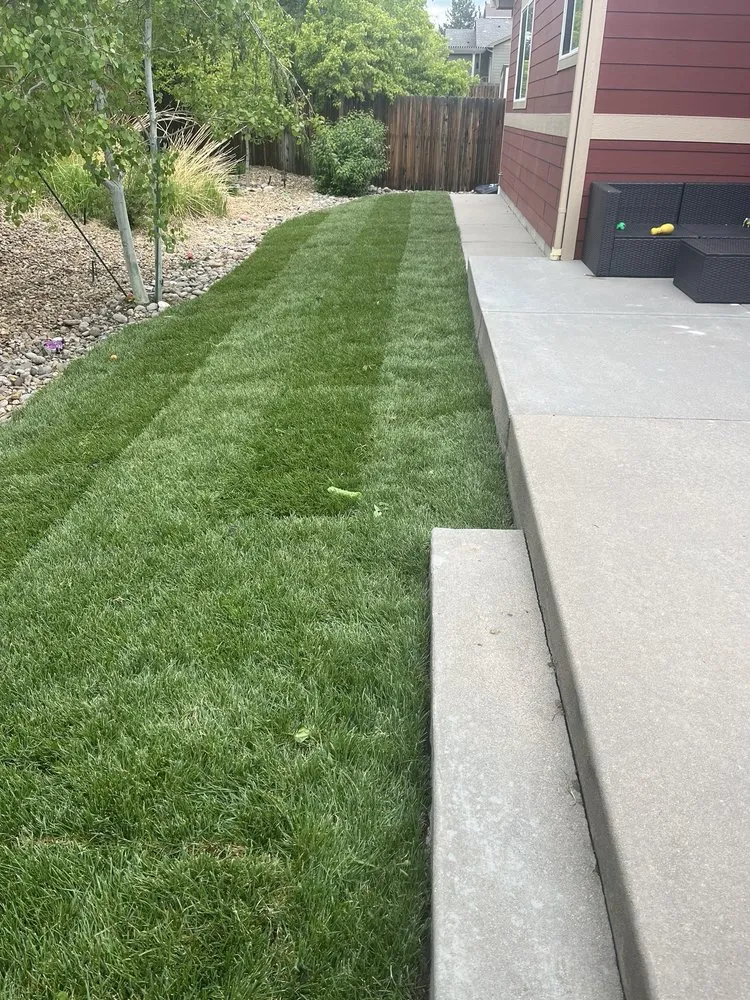Custom yard maintenance experts serving Thornton, CO - Sosa Land Service