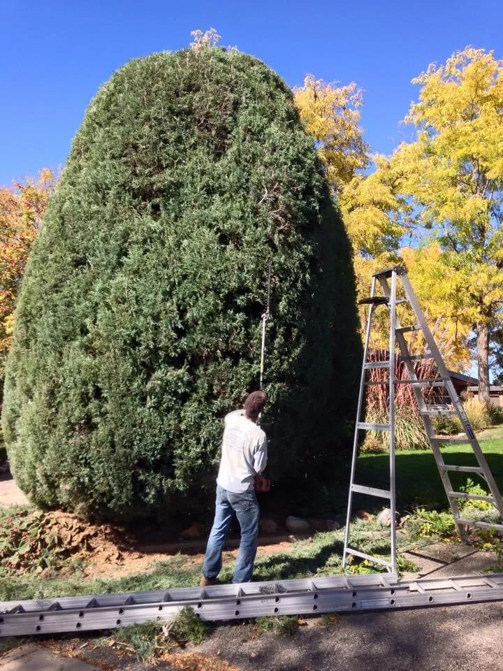 Trusted residential landscaping in Thornton, CO by Sosa Land Service