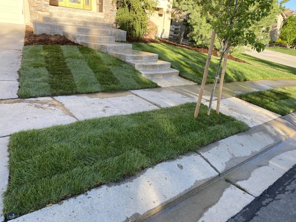 Top-rated garden landscaping in Thornton, CO by Sosa Land Service