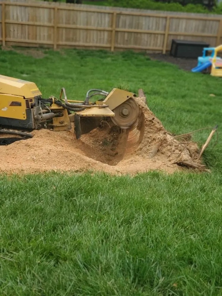 Local landscape installation experts serving Mount Eden, KY - Sosa Landscaping