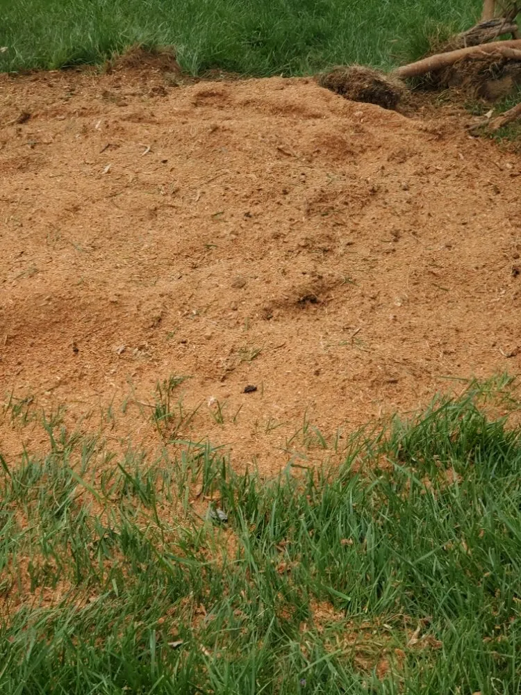 Local yard cleanup service for homes across Mount Eden, KY - Sosa Landscaping
