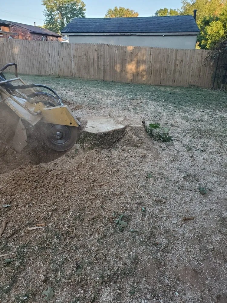 Professional landscaping services near you in Mount Eden, KY by Sosa Landscaping