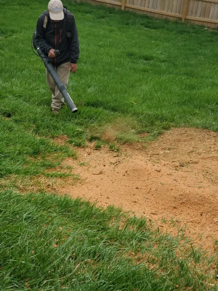 Reliable residential landscaping with custom design across Mount Eden, KY - Sosa Landscaping