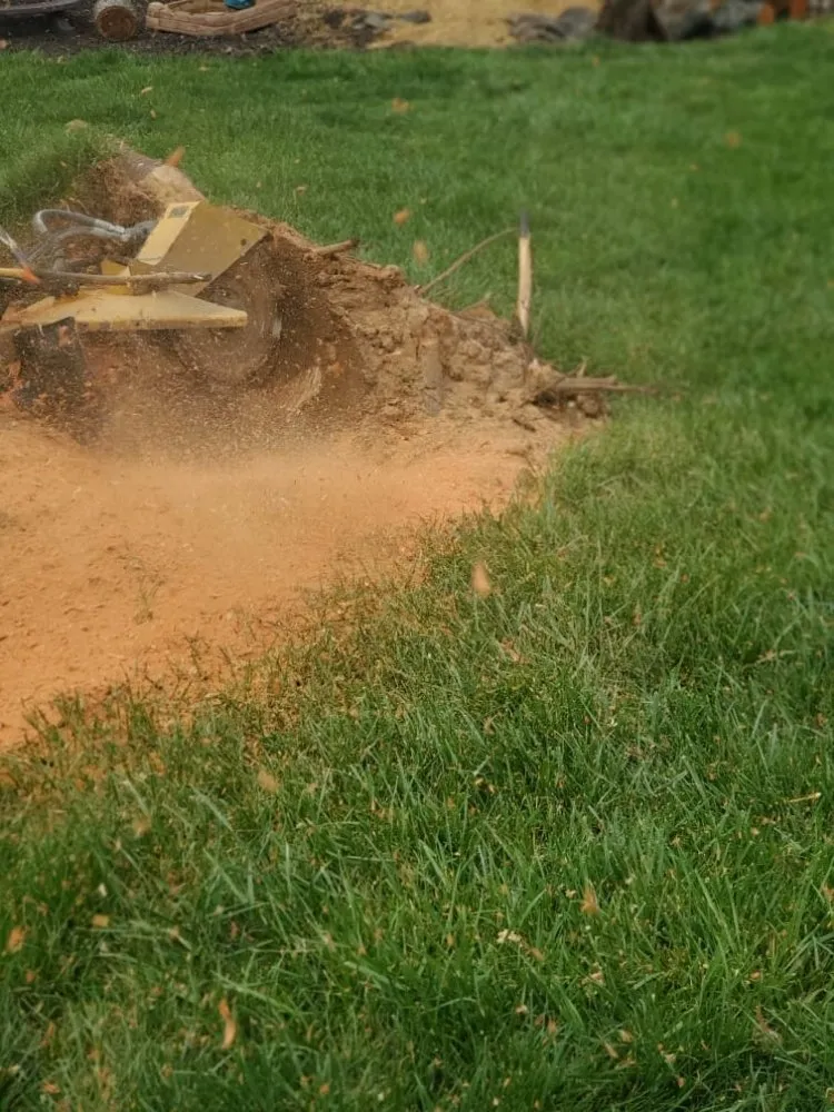 Reliable garden landscaping in Mount Eden, KY - Sosa Landscaping