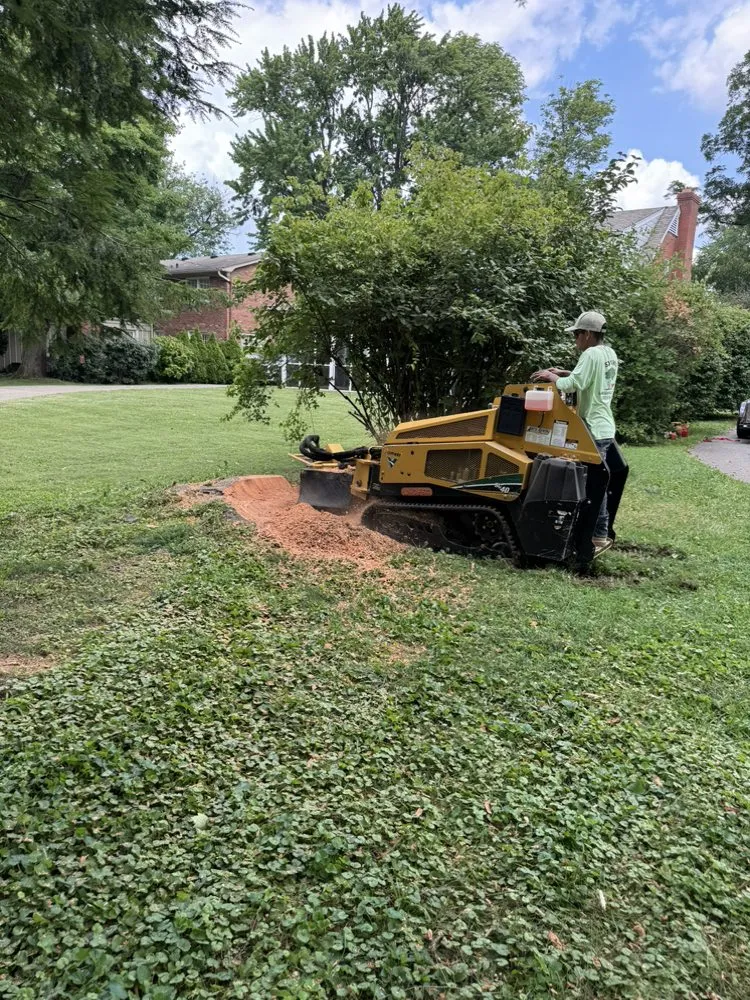 Affordable landscape design experts serving Louisville, KY - Sosa Tree Services