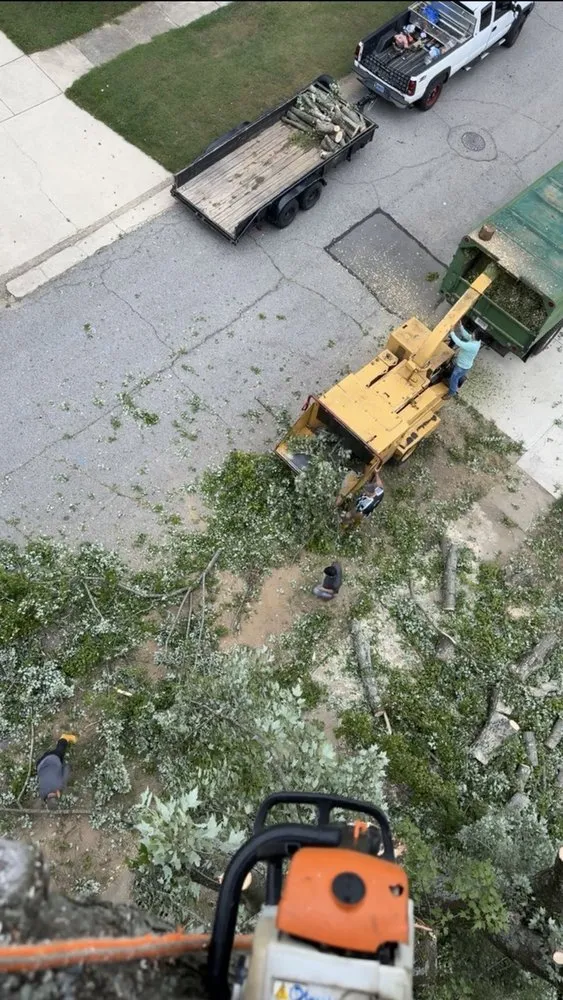 Expert landscape installation for homes in Louisville, KY by Sosa Tree Services