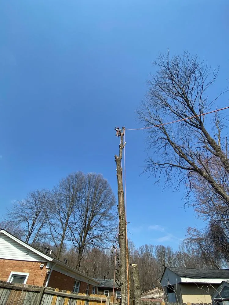 Trusted garden landscaping for residential properties in Louisville, KY by Sosa Tree Services