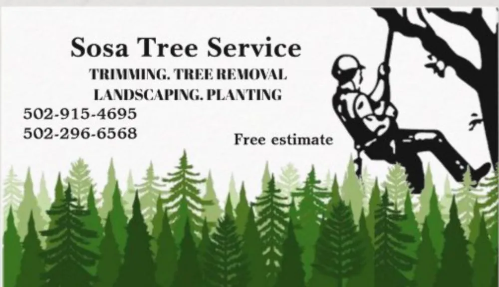 Custom lawn care service in Louisville, KY - Sosa Tree Services